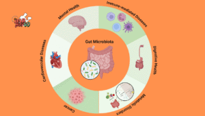 Gut Microbiome and Mental Health