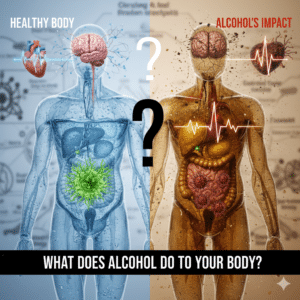 What Does Alcohol Do to Your Body